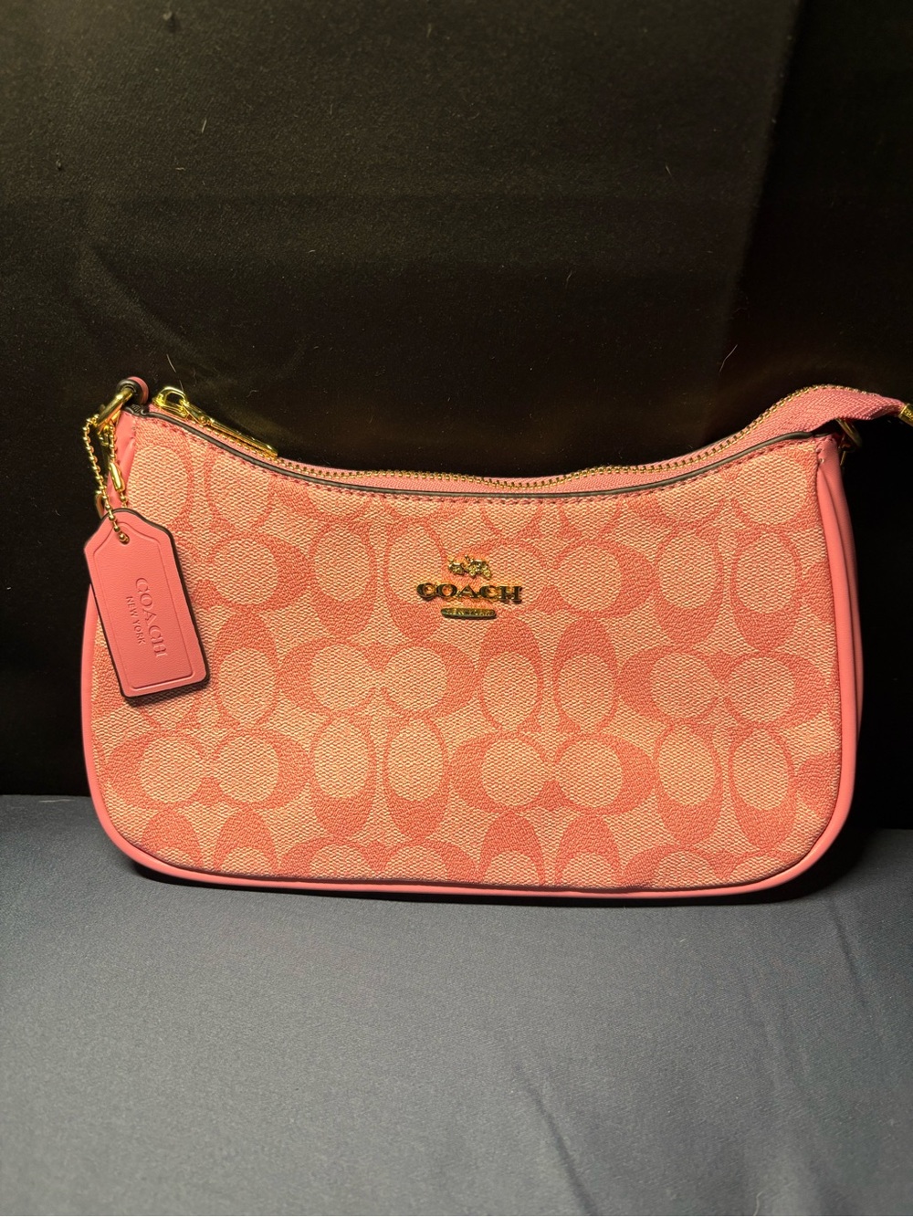 Coach Pink Shoulder Bag